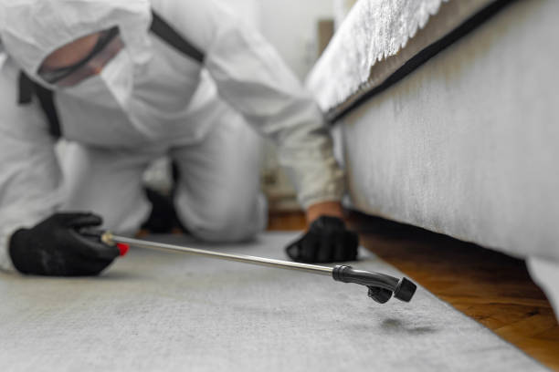 Professional Bed Bug Control technician working in Mahtomedi, MN