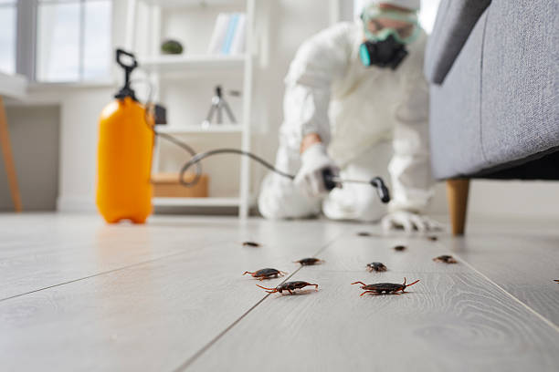 Trusted Cockroach Control service in Mahtomedi, MN - Nex Pest Control